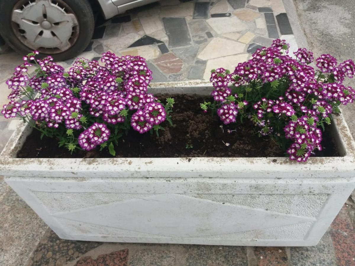 Appartamenti Naxos Giardini-Naxos Buitenkant foto